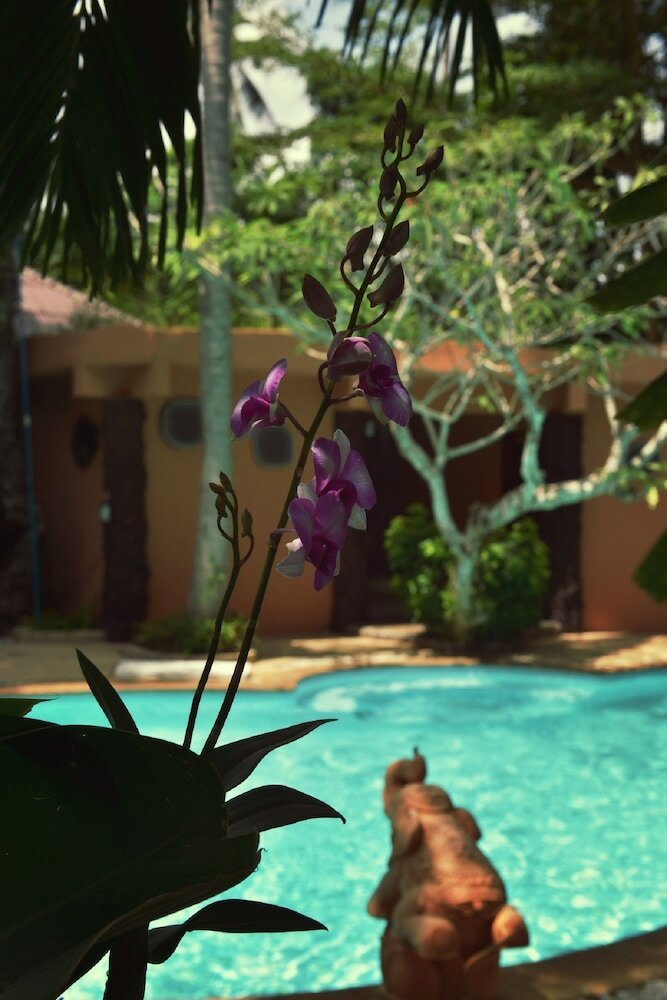 Polina Park Hotel
