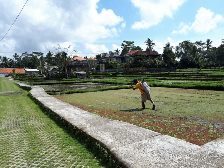 Hotel Villa Kirani Ubud