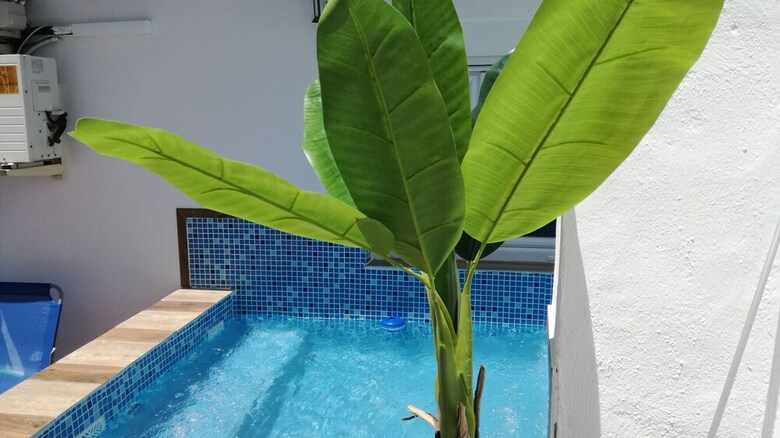 Apartamentos Atico Oasis Centro