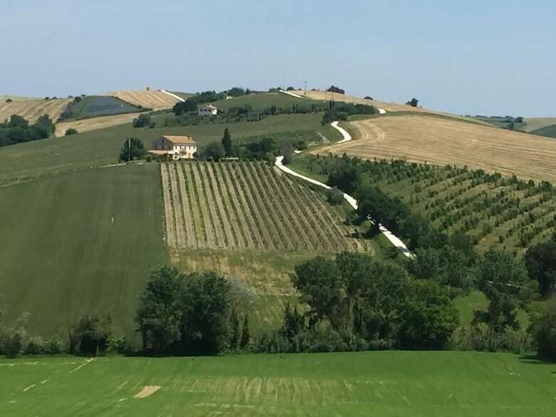 Agroturismo Agriturismo Il Bacucco
