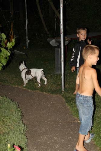 Ferienhaus Kr�hmer