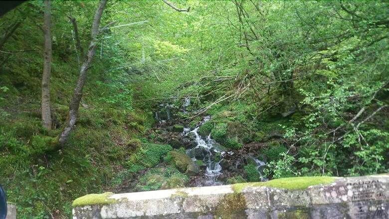 Hotel El Robl�n De Cabuerniga
