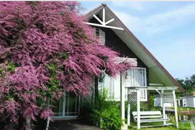 Hotel Kiangmok Chalet