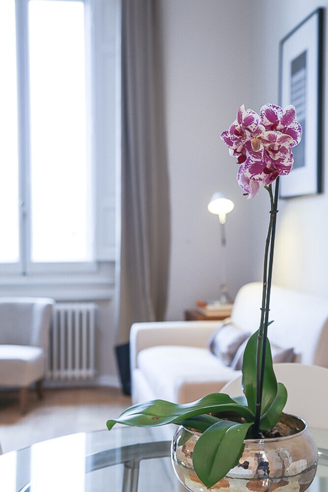 Apartamento Pindemonte Lauren