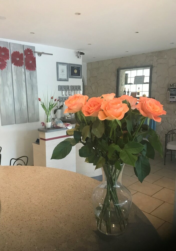 Hotel Le Mediterran�e