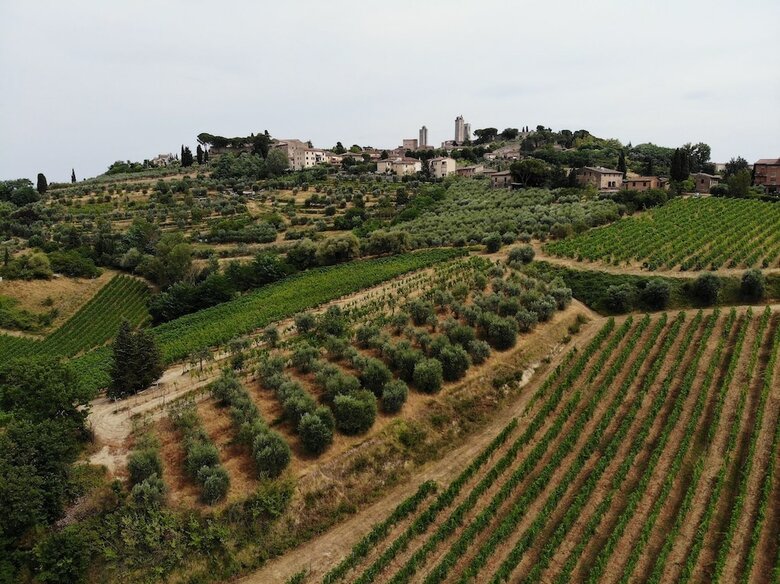 Bed & Breakfast I Coppi