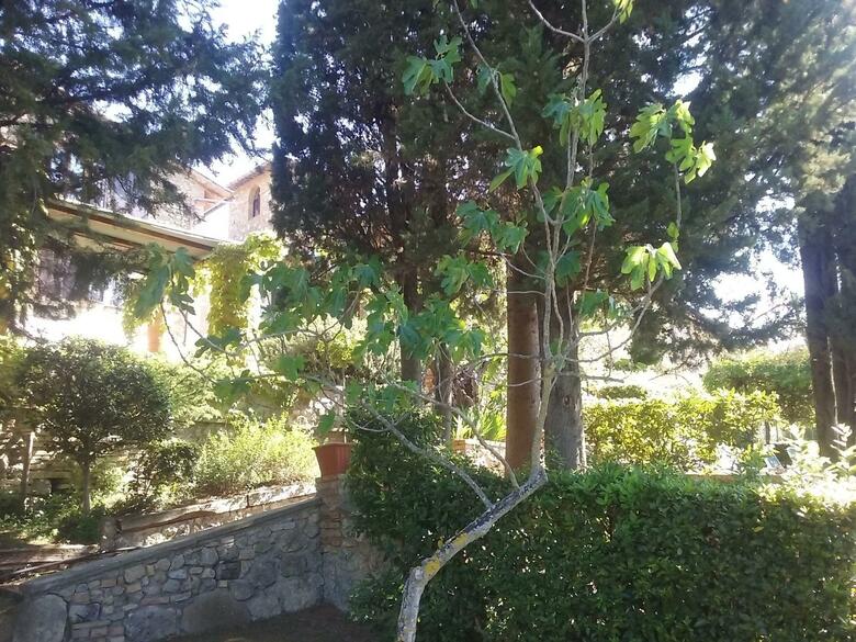 Hotel Pescille