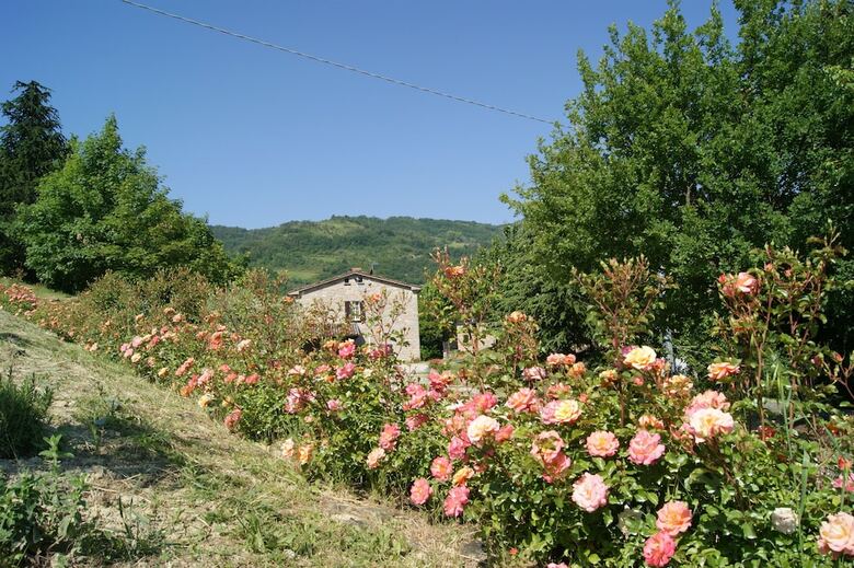 Agroturismo Corte Dei Mori