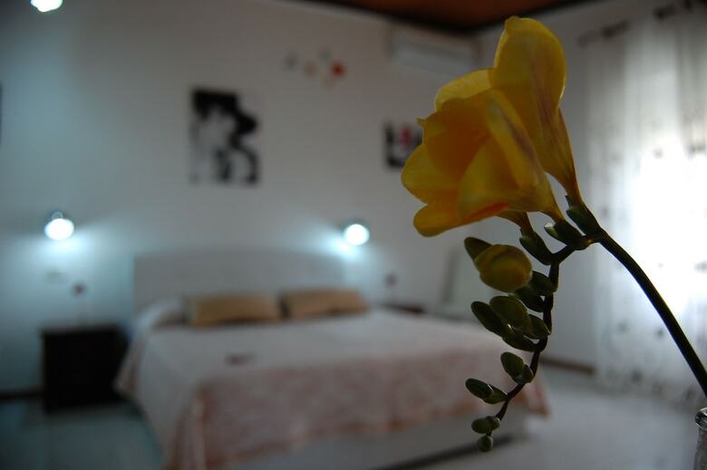 Bed & Breakfast Il Mirto E La Rosa Hoteles
