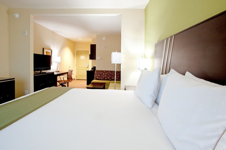 Hotel Holiday Inn Express & Suites Clemson