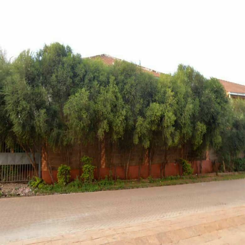 Hotel Nemadek Royal Park