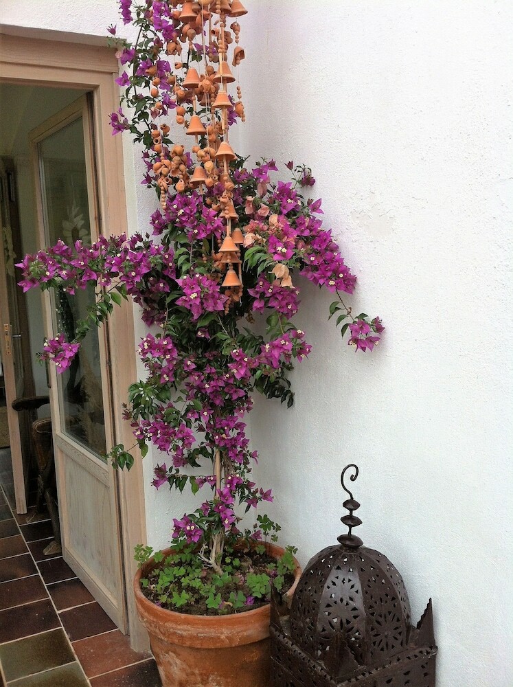 Hotel Rural Marialba