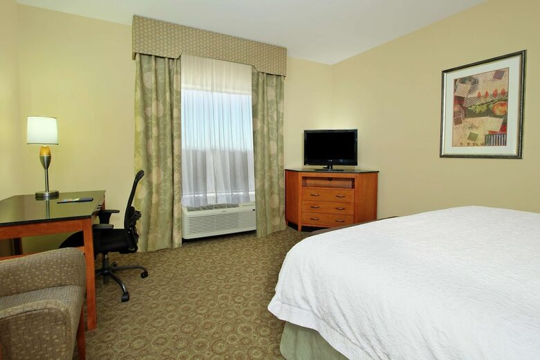 Hotel Hampton Inn & Suites Buffalo