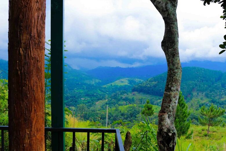 Hotel Hill Forest Cottage