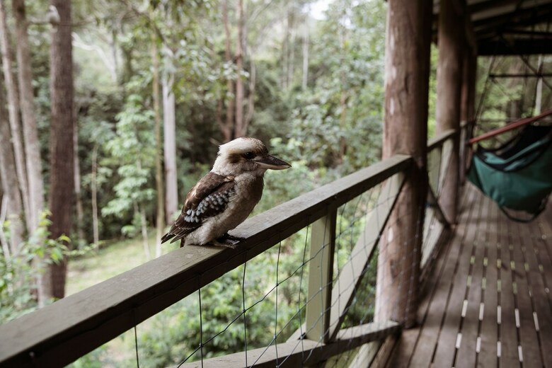Cabana The Treehouse
