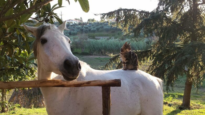 Hotel Il Casale Alle Farine