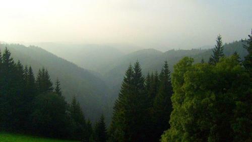 Hostal Schwarzwaldgasthaus Linde