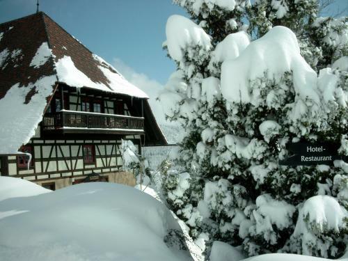 Hotel Hofgut Hohenkarpfen