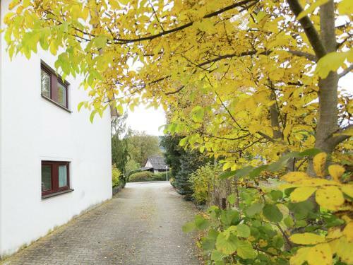 Apartment Hilde Eigeltingen II