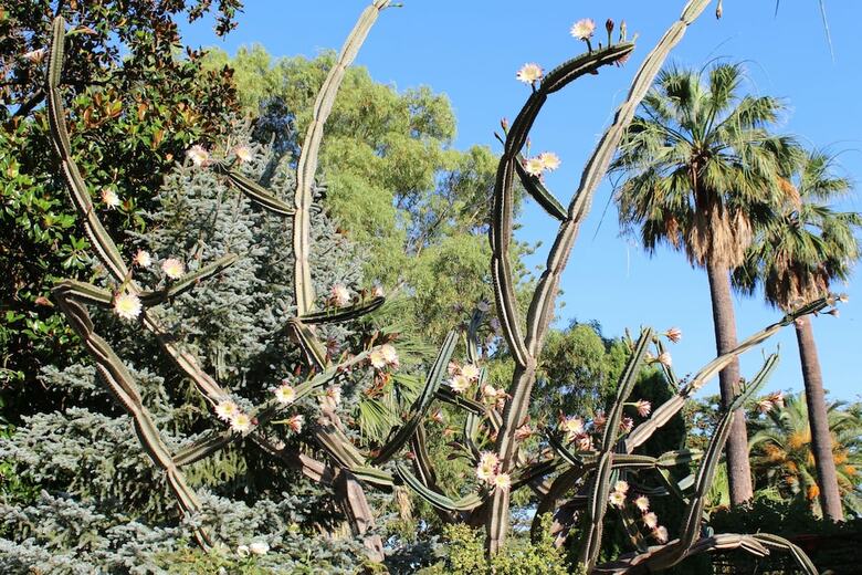 Agroturismo Finca Ca's Sant