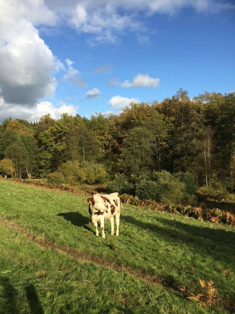 Bed & Breakfast Home Sweet Home Ardennais