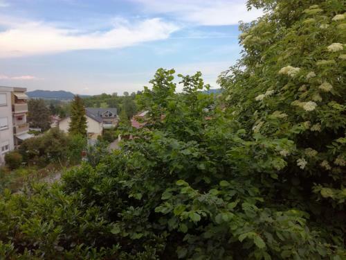 Posada Alte Schreinerei