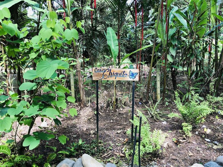 El Jardin De Playa Negra