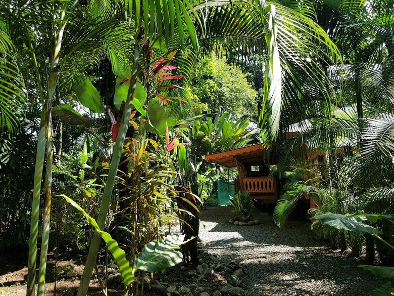 El Jardin De Playa Negra