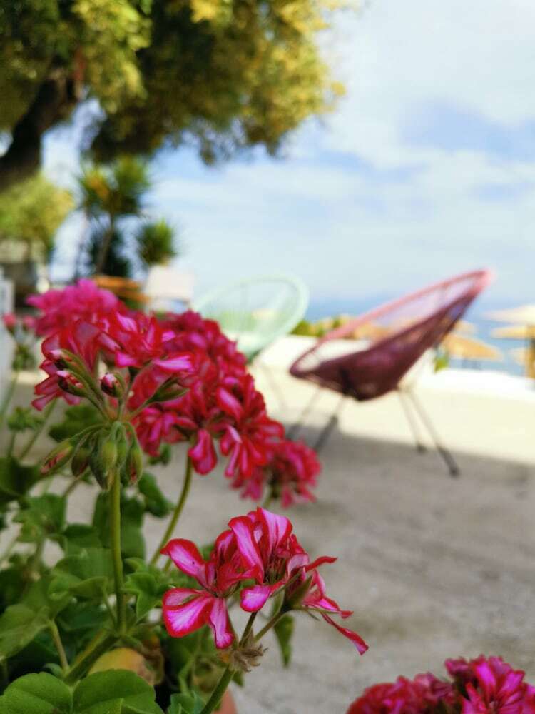 Hotel Akti