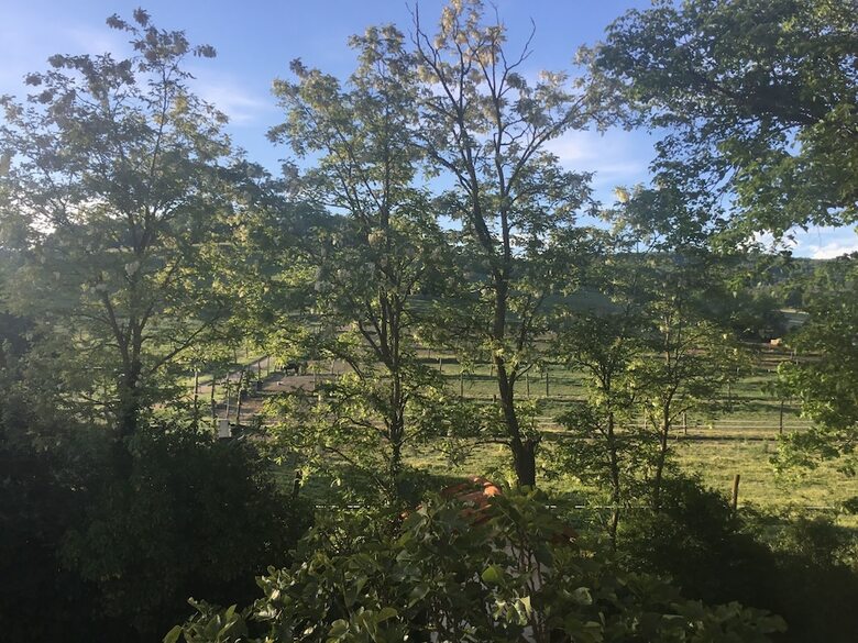 Bed & Breakfast Domaine De La Barre