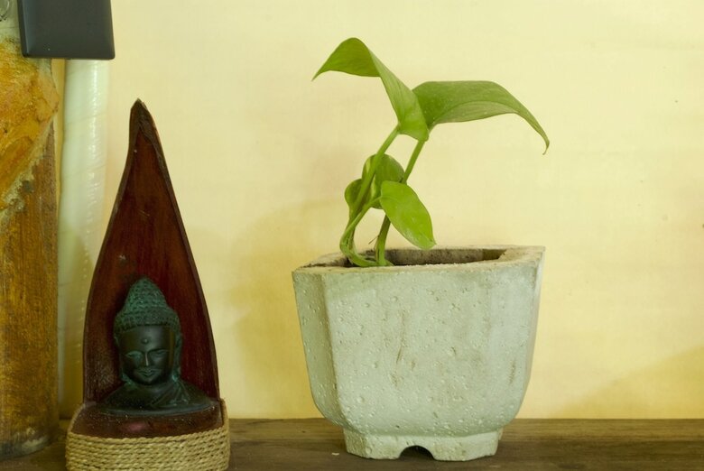Hotel Serena Tulum - Adults Only