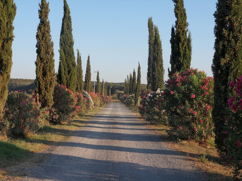 Apartamento Fattoria La Steccaia
