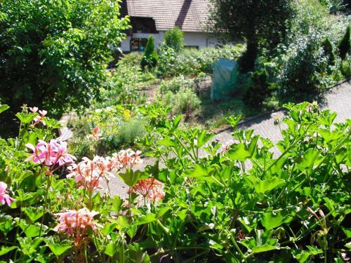 Apartamento Am Stulzenhof I