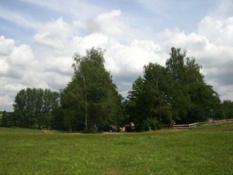 Hostal Gasthaus Zur �lm�hle