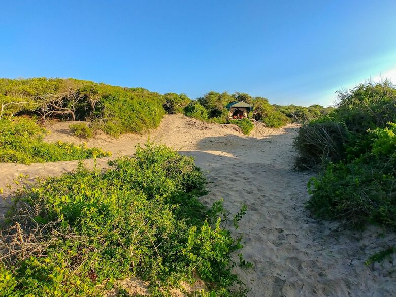 Back Of Beyond Dune Camp - Yala