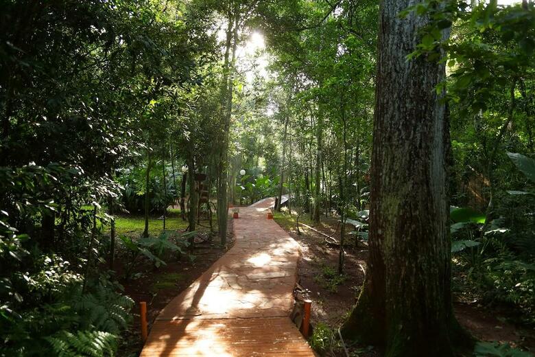 Posada Tierra Guarani Lodge De Selva