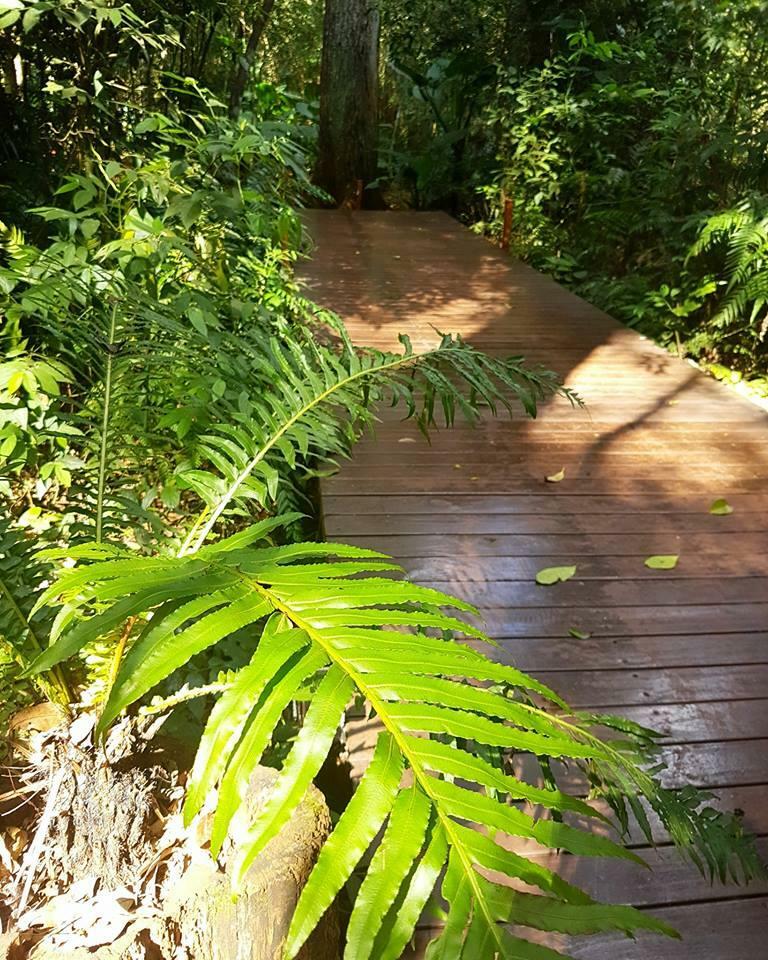 Posada Tierra Guarani Lodge De Selva