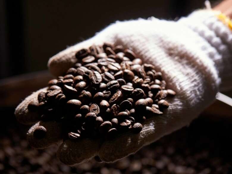 Matayoshi Coffee Farm