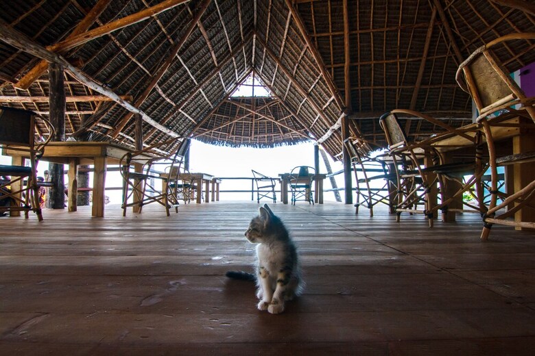 Posada Tsunami Village