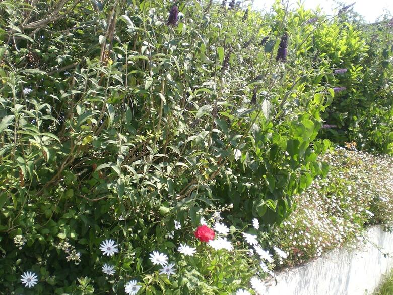 Bed & Breakfast Chambres H�tes Le Dolmen
