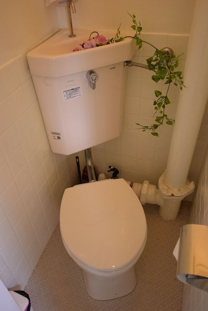 Mt Apartment