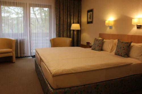 Hostal Hotel Rebstock
