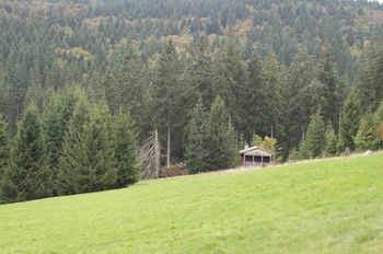 Hotel Gro�bach