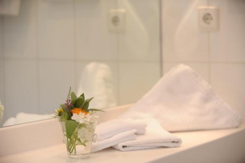 Hostal Hotel Gasthaus Adler