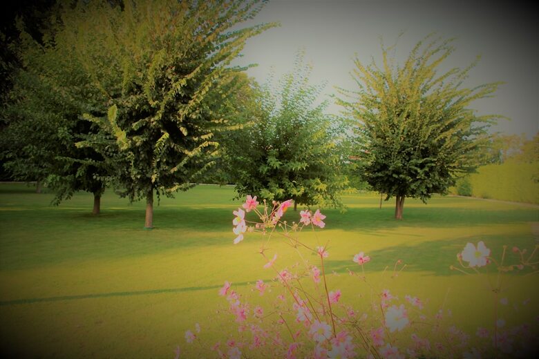 Bed & Breakfast Casa Torre Allera
