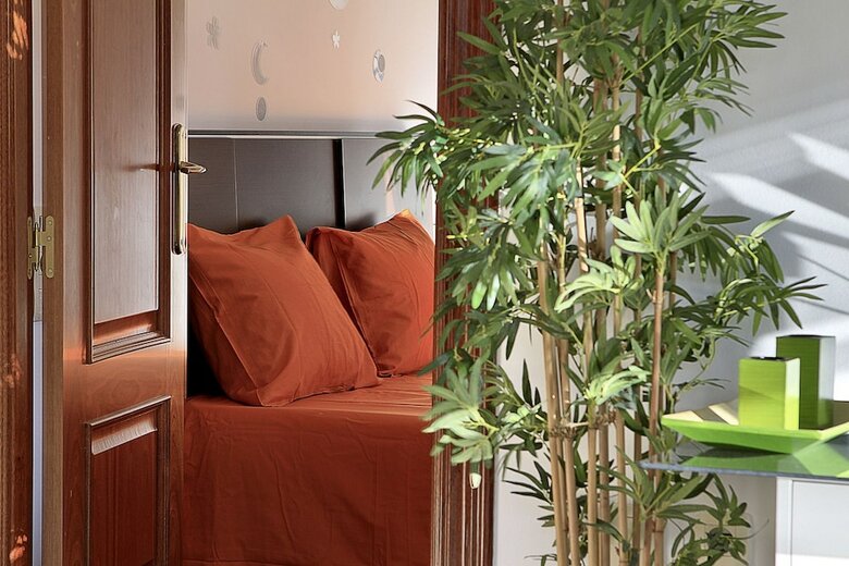 Apartamentos Granaxperience Atico Catedral