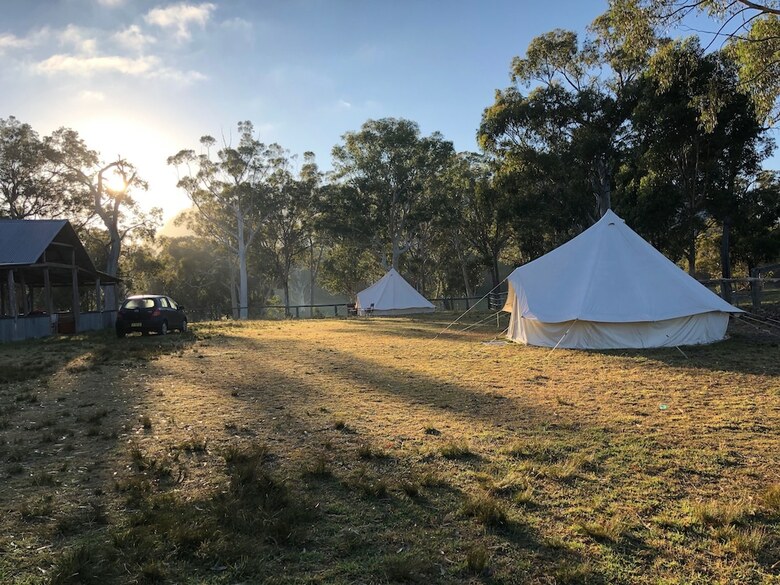 Wild In Style For Glamping