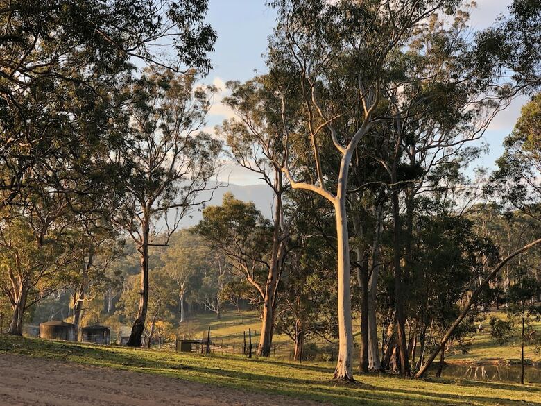 Wild In Style For Glamping
