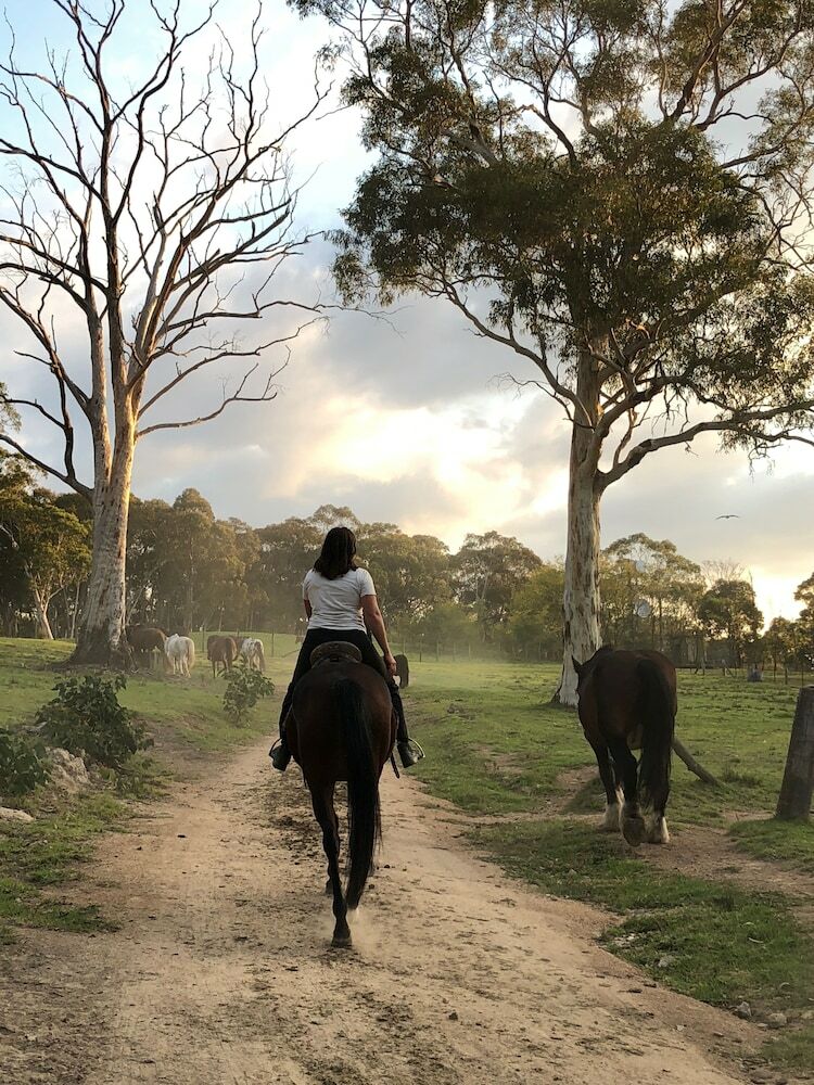 Wild In Style For Glamping