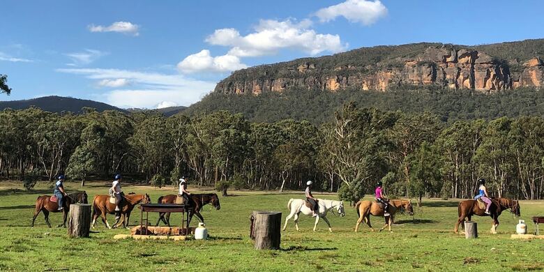 Wild In Style For Glamping